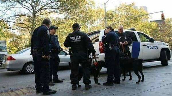 بالفيديو .. مقتل 3 أشخاص فى حادث إطلاق نار بمدرسة أمريكية