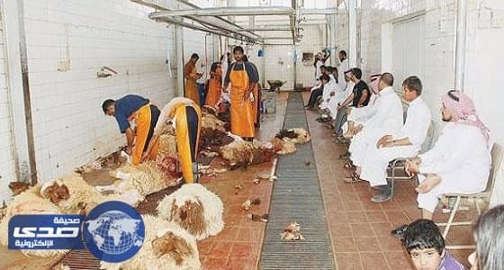 جولة ميدانية لـ " صحة البيئة " على مسالخ عرعر