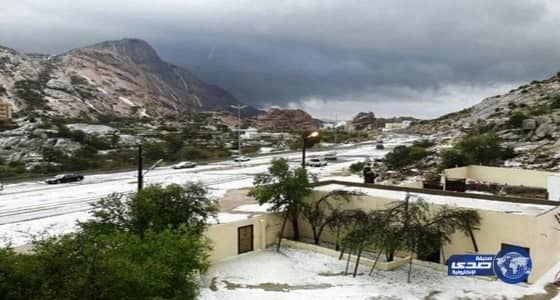 بالفيديو والصور.. إصابة خطيرة تهدد لاعب أمريكي ببتر قدمه