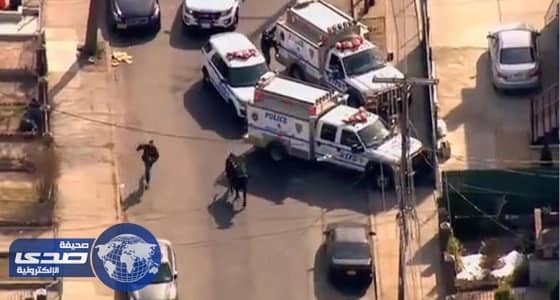 بالفيديو.. ثور هائج يتحول لنجم أمريكي بعد مطاردته لساعتين من شرطة نيويورك