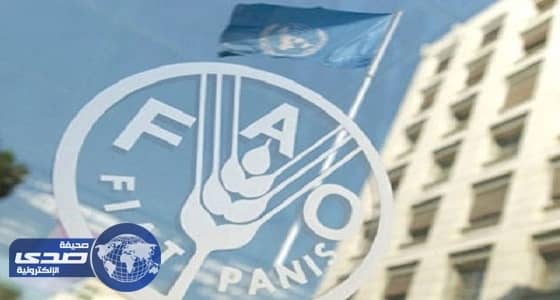 ممثل المملكة بالفاو: السعودية تسعى لإغاثة المنكوبين بعيدًا عن التوجهات السياسية والعرقية