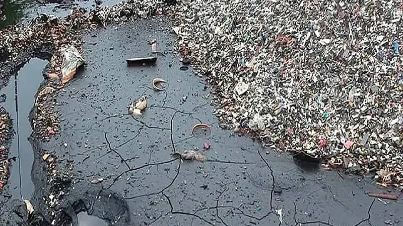 مركز الالتزام البيئي: مليون ريال غرامة عدم الإبلاغ عن تلوث التربة