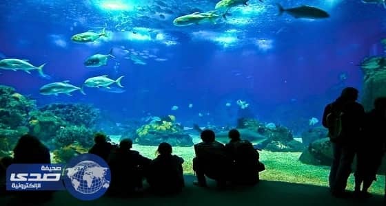 ارتفاع معدل تدفق السياح على جنوب البرتغال