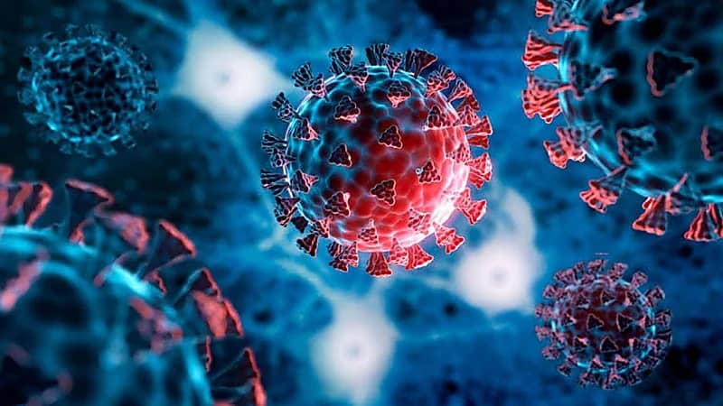 هولندا تعلن عن عودة الإغلاق الشامل بسبب كورونا