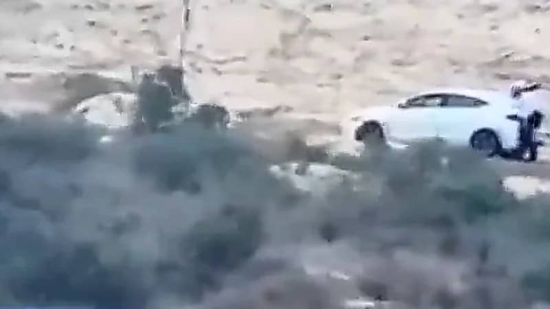 جريمة تهز البصرة لشقيق زوجة مسؤول عراقي قتــل زميلته أمام العدسات.. فيديو