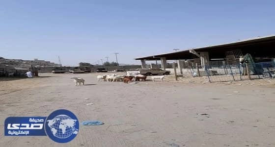 إزالة 30 حظيرة عشوائية في مكة