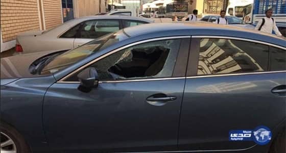 البيئة تفرض حظر استيراد الفصيلة الخيلية من أسبانيا وماسيدونيا