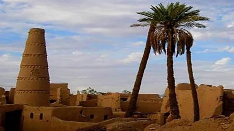 الهند تعلن تفشي فيروس أنفلونزا الطيور شديد العدوى