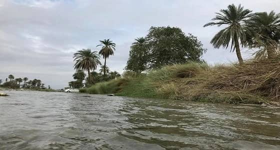 مخالفات بشفط مياه " قنونا " الراكدة لبيعها للمواطنين