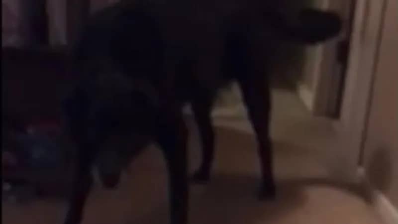 امرأة توثق مقطع فيديو لـ عفريت في منزلها