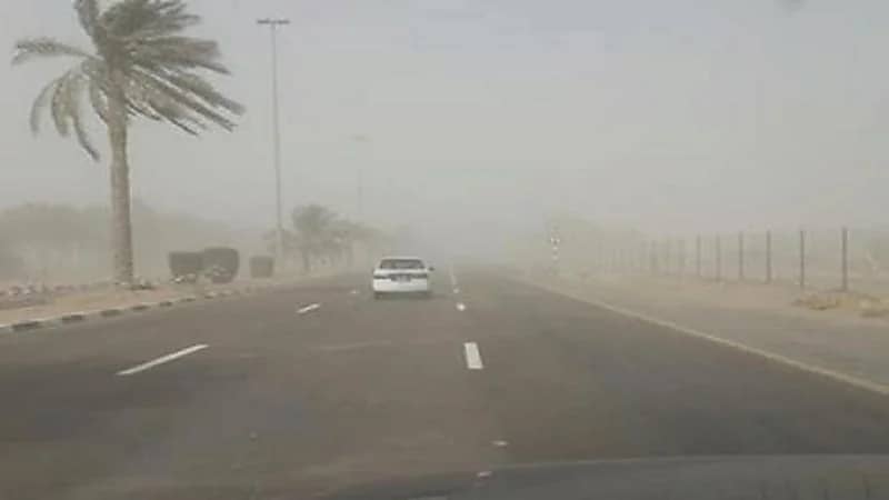 الأرصاد: موجة غبار تضرب عدة مناطق حتى نهاية الأسبوع المقبل.. فيديو