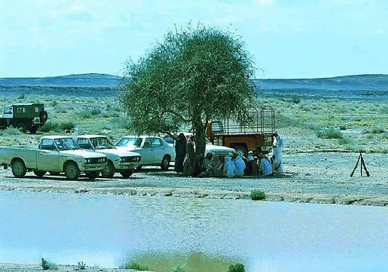 طلعة برية قبل 48 عام تقريبا