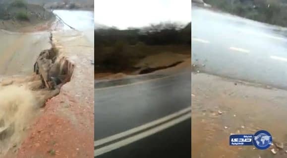 كاتبة فلسطينية لـ " صدى " : المملكة قلب الأمة النابض