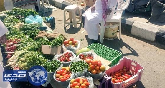 أمانة عسير تزيل البسطات في سوق الثلاثاء