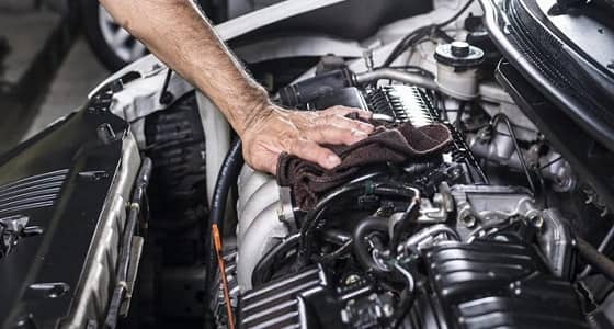 إرشادات مهمة لحماية كابلات محرك السيارة من القوارض