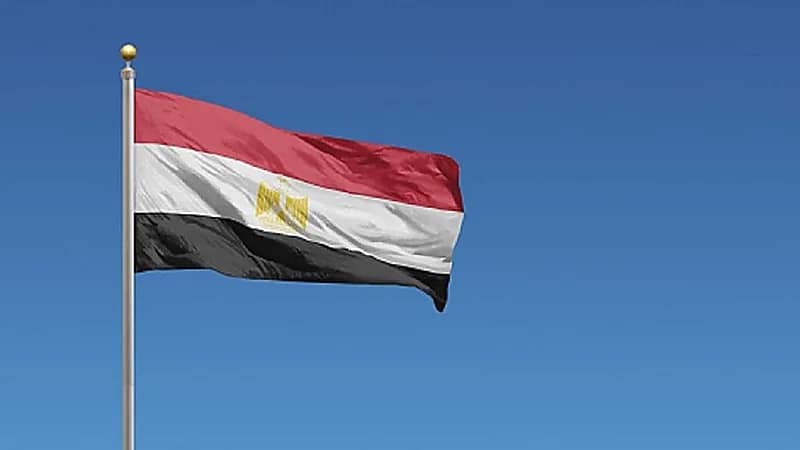 نائبة مصرية تطالب بخطوات رادعة لمن ينجب أكثر من طفلين!