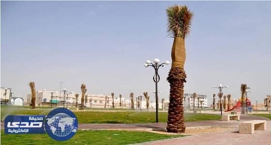 وقف التيار الكهربائي بحدائق الأحساء حتى انتهاء موسم الأمطار