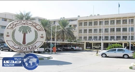 " البيئة " تعاقب 5 منشآت لبيع الحيوانات بـ 66 ألف ريال