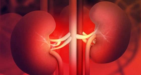 5 أعضاء في جسم الإنسان أصغر من عمره بـ 10 سنوات