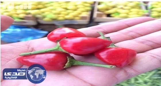 «إمارة جازان»: فلفل «الكرز» غير صالح للاستهلاك