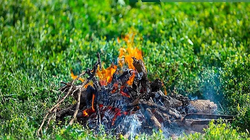 الأمن البيئي يحذر: غرامة 3 آلاف لإشعال النار على أراضي الغطاء النباتي