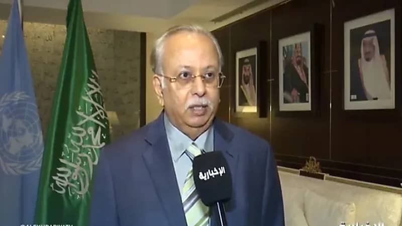 بالفيديو.. "المعلمي" يكشف أبرز القضايا التي يناقشها وفد المملكة بالأمم المتحدة