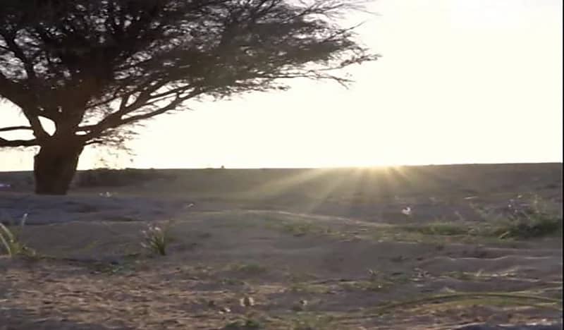 شاهد.. سبب مقولة "قران خامس ربيعٍ طامس" عند حلول الربيع