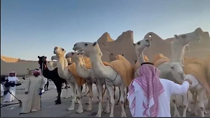 بالفيديو.. استعراض منقية قطامات في ‎الدرعية ضمن احتفالات اليوم الوطني