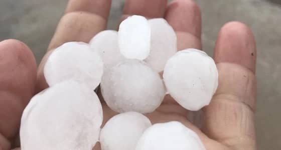 بالصور.. تساقط حبيبات الثلج على المدينة المنورة