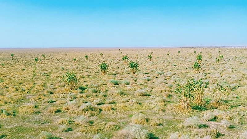 ضبط مواطن ارتكب مخالفة رعي في محمية الملك عبدالعزيز الملكية