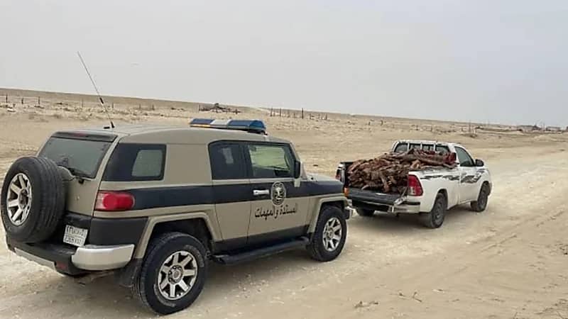 ضبط مخالفاً لنظام البيئة بالقصيم