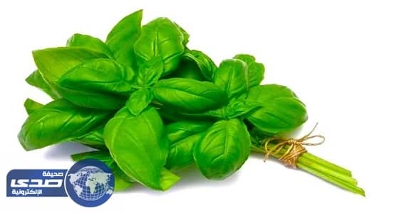 الريحان يعالج تعثر الهضم والانتفاخ والغثيان