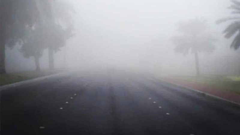 "الأرصاد" يحذر أهالي المنطقة الشرقية من الضباب