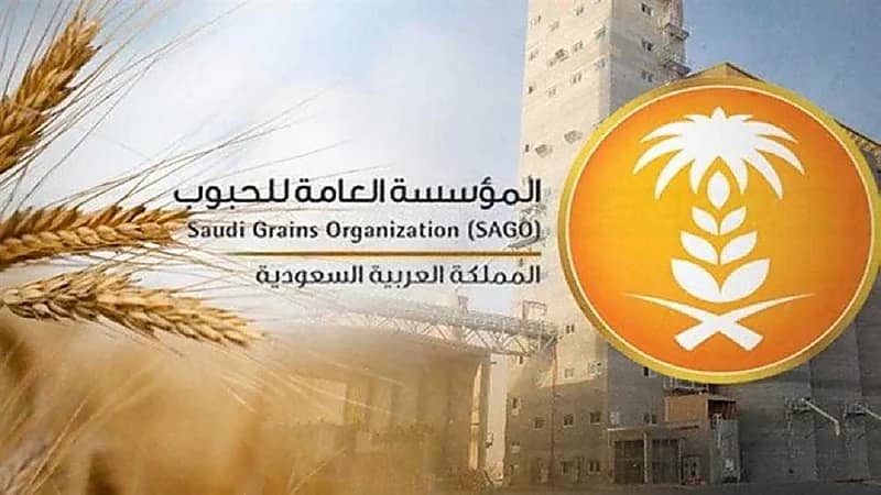 المؤسسة العامة للحبوب تعتمد زيادة سعر شراء القمح المحلي