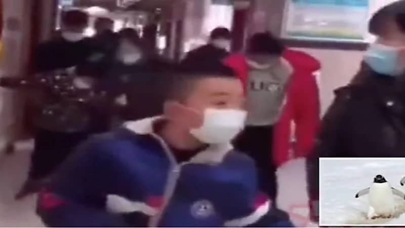 بالفيديو.. أشخاص يثيرون الجدل بالسير كالبطاريق بعد إجراء المسحة الشرجية