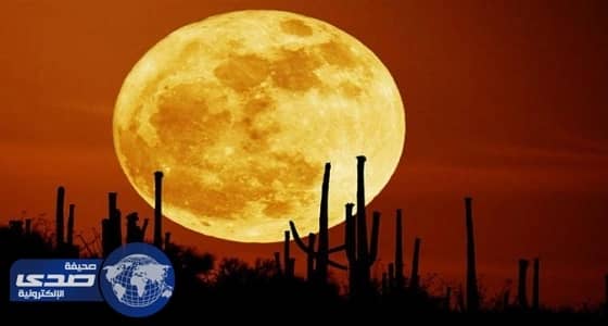 فلكية جدة: تكشف حقيقة ظهور أول قمر عملاق غداً