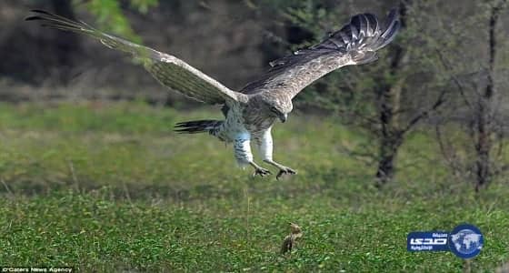 بالصور.. ضبط مصنع حلويات مخالف يستخدم مواد ملوثة بمحايل