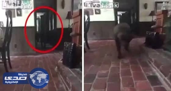 بالفيديو.. رصد شبح يتجول في منزل بأوهايو الأمريكية