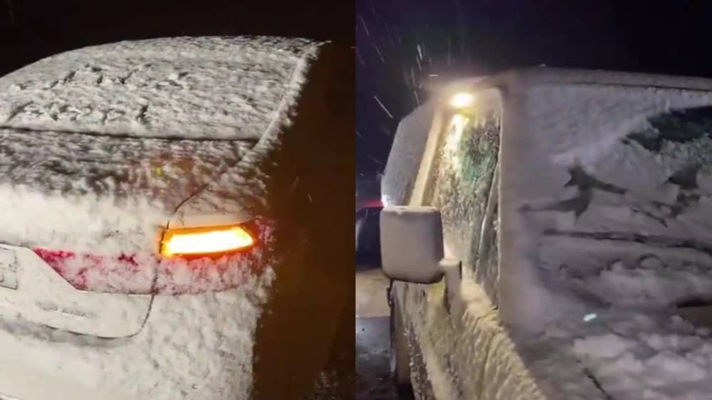 المسند: حائل لم تشهد هذه الثلوج منذ 34 عامًا.. فيديو