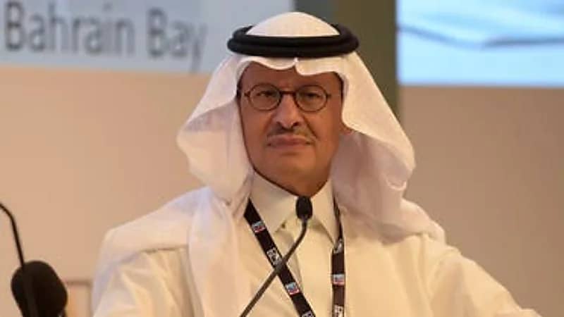 بالفيديو.. وزير الطاقة: المملكة ساهمت بمليون دولار لدعم مكافحة الأمراض حيوانية المصدر