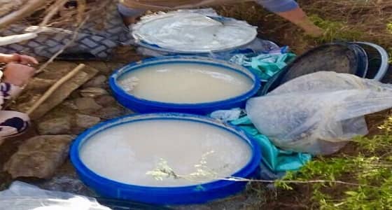 بالصور..ضبط 4 مصانع خمور بـ " عسير "
