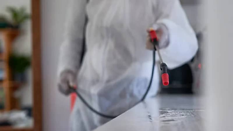 6 أفعال لا يجب لربة المنزل تجاهلها عند رش المبيدات