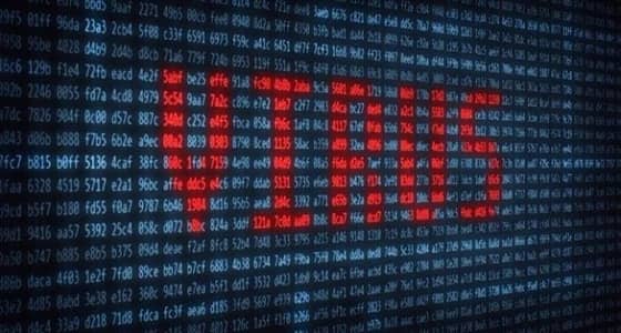 تحذير رسمي من هجمات " البوت نت " على أجهزة الكمبيوتر