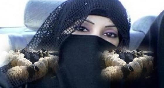 تغريدة فتاة تلاحقها الخرفان من 40 متابع إلى 35 ألف في ساعتين