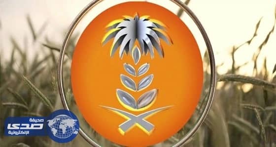 المملكة تطرح مناقصة لاستيراد 1.5 مليون طن شعير