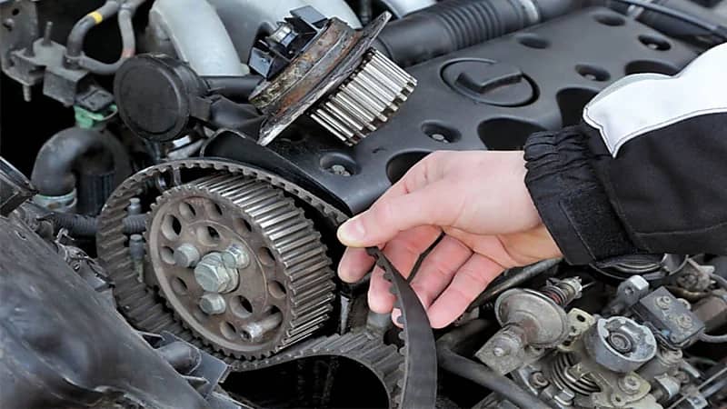 علامات تشير إلى تلف سير التايمن