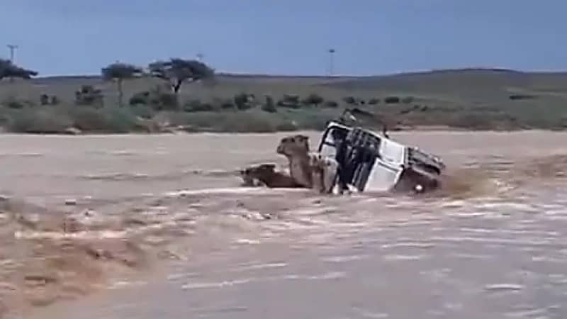 بالفيديو.. انقلاب مركبة محملة بـ "الجمال" وسط السيل في شرق الحناكية
