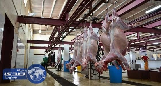 تفاصيل خطة أمانة الرياض لمتابعة المسالخ في شهر رمضان