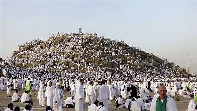 توافد الحجاج على صعيد عرفات لأداء ركن الحج الأعظم بانسيابية ويسر .. فيديو
