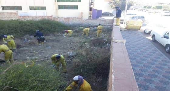 بالصور.. " أمانة عسير " تزيل 180 مترًا مكعبًا من المخلفات بمقابر أبها